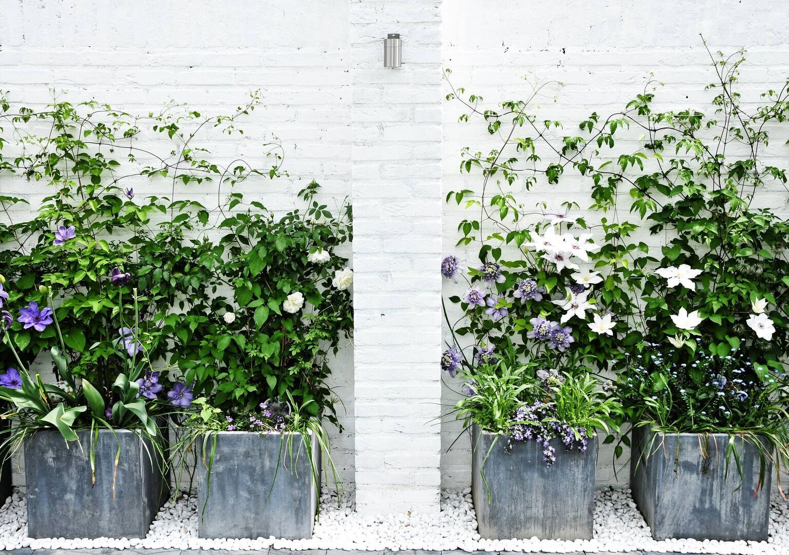 Flowers in planters