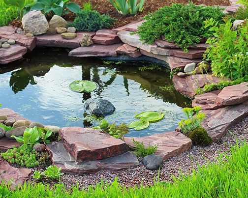 Small pool with stones
