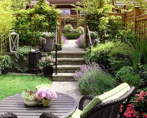 Backyard with flowers in planters